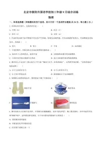 北京市朝阳外国语学校2025-2026学年上学期九年级9月月考物理试题（含答案）