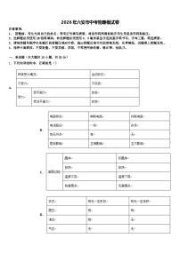 2026年六安市中考物理模试卷（含答案解析）