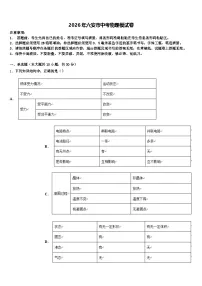 2026年六安市中考物理模试卷（含答案解析）