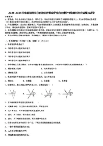 2025-2026学年新疆维吾尔自治区伊犁哈萨克自治州中考物理对点突破模拟试卷（含答案解析）