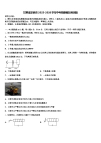 甘肃省定西市2025-2026学年中考物理模拟预测题（含答案解析）