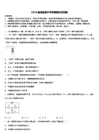 2026届湖南省中考物理模拟预测题（含答案解析）