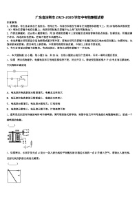 广东省深圳市2025-2026学年中考物理模试卷（含答案解析）