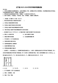 辽宁省2025-2026学年中考联考物理试题（含答案解析）