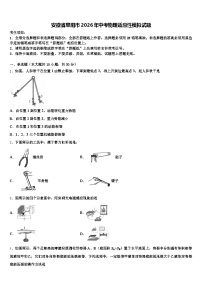安徽省阜阳市2026年中考物理适应性模拟试题（含答案解析）