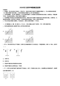 2026年三亚市中考物理仿真试卷（含答案解析）