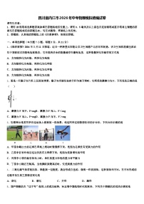 四川省内江市2026年中考物理模拟精编试卷（含答案解析）