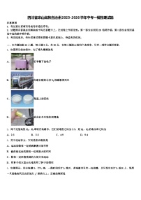 四川省凉山彝族自治州2025-2026学年中考一模物理试题（含答案解析）