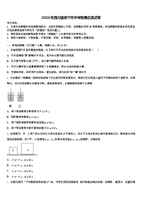 2026年四川省遂宁市中考物理仿真试卷（含答案解析）