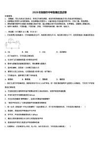 2026年铜陵市中考物理仿真试卷（含答案解析）