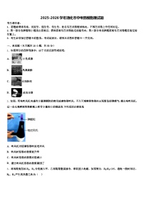 2025-2026学年通化市中考四模物理试题（含答案解析）