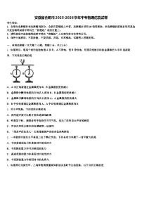 安徽省合肥市2025-2026学年中考物理仿真试卷（含答案解析）