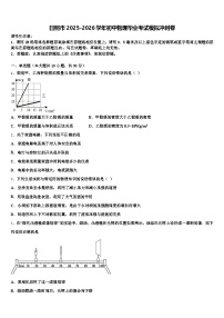 日照市2025-2026学年初中物理毕业考试模拟冲刺卷（含答案解析）