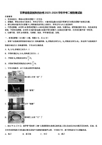 甘肃省临夏回族自治州2025-2026学年中考二模物理试题（含答案解析）