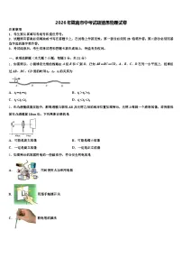 2026年陇南市中考试题猜想物理试卷（含答案解析）