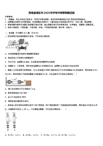 青海省海东市2026年中考冲刺卷物理试题（含答案解析）