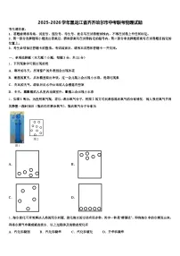 2025-2026学年黑龙江省齐齐哈尔市中考联考物理试题（含答案解析）