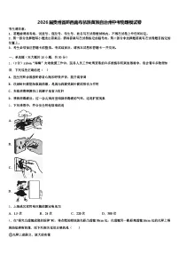 2026届贵州省黔西南布依族苗族自治州中考物理模试卷（含答案解析）
