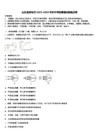 山东省青岛市2025-2026学年中考物理模拟精编试卷（含答案解析）