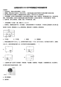山西省运城市2026年中考物理最后冲刺浓缩精华卷（含答案解析）