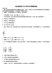 山东省东营市2026年中考三模物理试题（含答案解析）