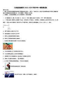 江西省景德镇市2025-2026学年中考一模物理试题（含答案解析）