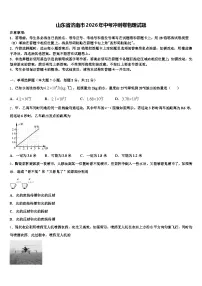 山东省济南市2026年中考冲刺卷物理试题（含答案解析）