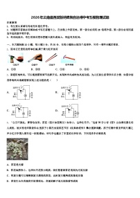 2026年云南省西双版纳傣族自治州中考五模物理试题（含答案解析）