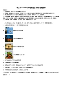 枣庄市2026年中考物理最后冲刺浓缩精华卷（含答案解析）