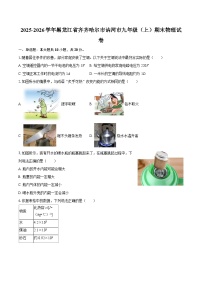 2025-2026学年黑龙江省齐齐哈尔市讷河市九年级（上）期末物理试卷-自定义类型