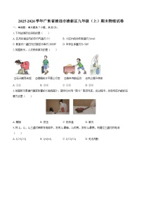 2025-2026学年广东省清远市清新区九年级（上）期末物理试卷-自定义类型