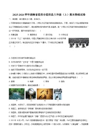 2025-2026学年湖南省岳阳市岳阳县八年级（上）期末物理试卷-自定义类型