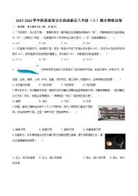 2025-2026学年陕西省西安市西咸新区八年级（上）期末物理试卷-自定义类型