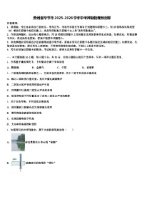 贵州省毕节市2025-2026学年中考押题物理预测卷（含答案解析）