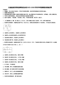 云南省德宏傣族景颇族自治州2025-2026学年中考物理模拟精编试卷（含答案解析）