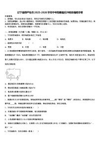 辽宁省葫芦岛市2025-2026学年中考物理最后冲刺浓缩精华卷（含答案解析）
