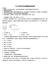2026年枣庄市中考物理模拟预测试卷（含答案解析）