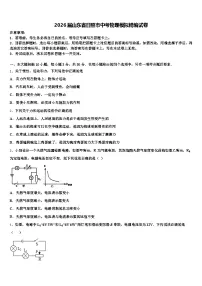 2026届山东省日照市中考物理模拟精编试卷（含答案解析）
