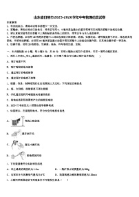 山东省日照市2025-2026学年中考物理仿真试卷（含答案解析）