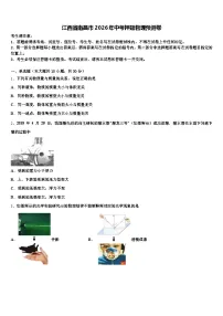 江西省南昌市2026年中考押题物理预测卷（含答案解析）
