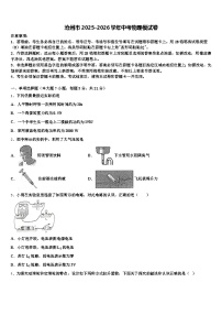 沧州市2025-2026学年中考物理模试卷（含答案解析）
