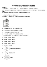 2026年广东省佛山市中考适应性考试物理试题（含答案解析）