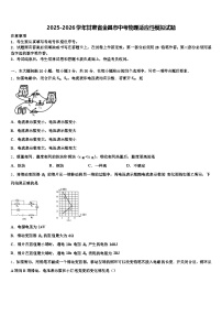 2025-2026学年甘肃省金昌市中考物理适应性模拟试题（含答案解析）