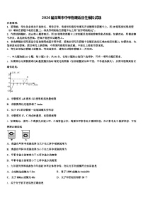 2026届深圳市中考物理适应性模拟试题（含答案解析）