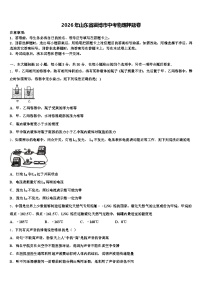 2026年山东省淄博市中考物理押题卷（含答案解析）