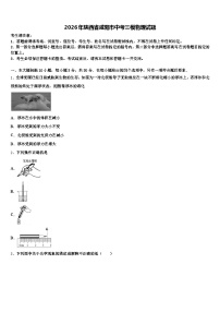 2026年陕西省咸阳市中考三模物理试题（含答案解析）
