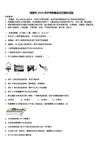 铜陵市2026年中考物理适应性模拟试题（含答案解析）