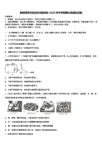 新疆维吾尔自治区和田地区2026年中考物理全真模拟试题（含答案解析）