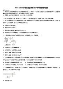 2025-2026学年安徽省阜阳市中考押题物理预测卷（含答案解析）