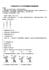 江苏省连云港市2026年中考物理最后冲刺浓缩精华卷（含答案解析）